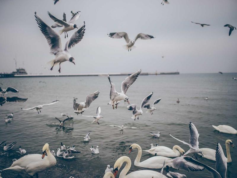 sudoku subset counting screenshot 3